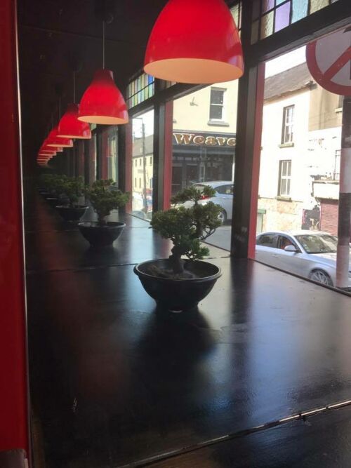 new-drogheda-noodle-box-03.jpg